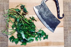 Rustic Herb Chopper