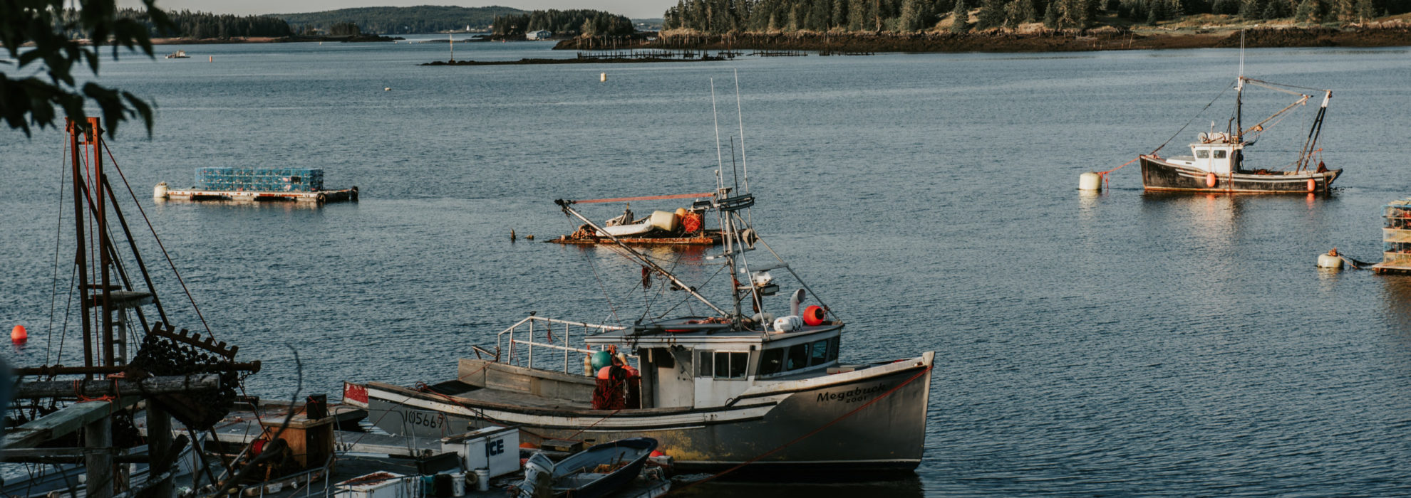 Boats in water at Richardson